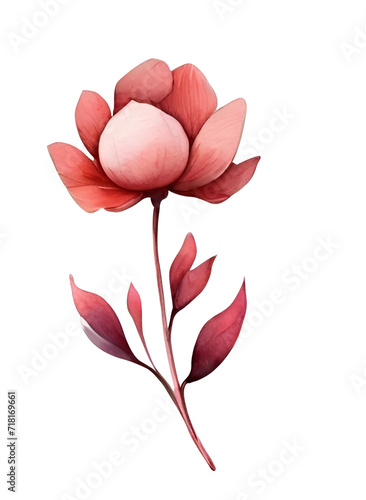 Watercolor flower clipart. Decoration for posters  greeting cards  birthdays  and wedding designs. Isolated on a transparent background. Generative AI.