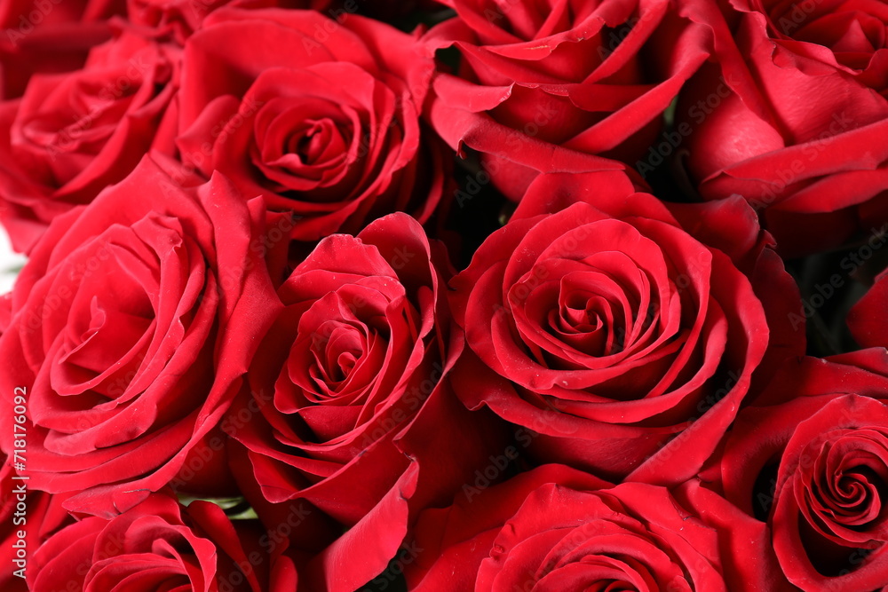 red roses bouquet red roses bouquet