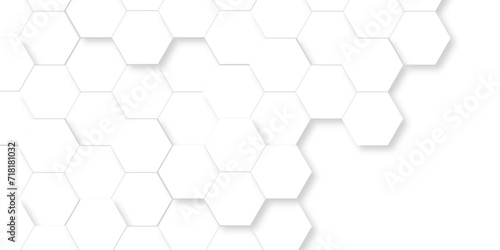 Seamless pattern with hexagonal white and gray technology line paper background. Hexagonal vector grid tile and mosaic structure mess cell. white and gray hexagon honeycomb geometric copy space.