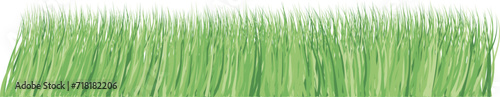 Realistic green grass. Vector image on a transparent background.