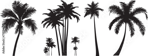 Black palm trees set isolated on white background. Palm silhouettes. Design of palm trees for posters, banners and promotional items. Vector illustration