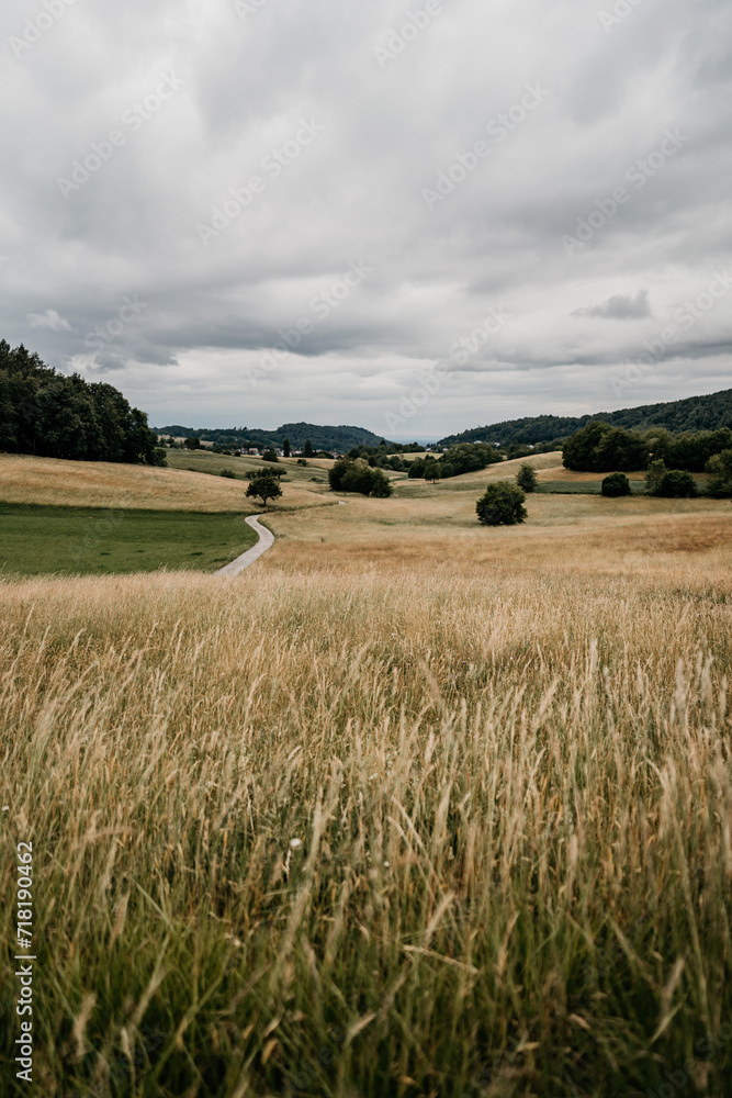 Fototapeta premium Wunderschöne Wiesenlandschaft mit weiten Feldern und grauem Himmel