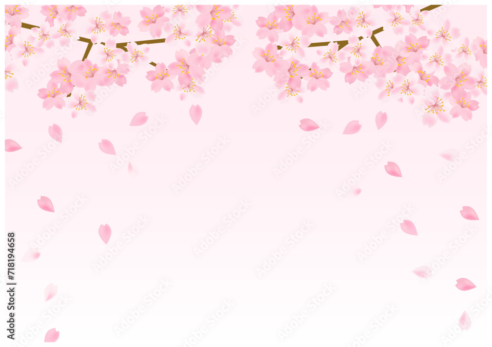 桜の花舞う春の放射状フレーム背景17桜色