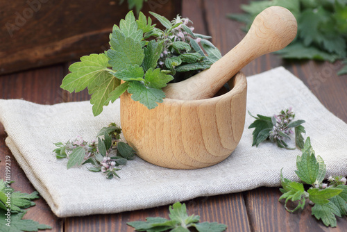 Motherwort fresh leaves in mortar with flowers on rustic wooden background, closeup, copy space, green medicine, heart desease care, menstrual and menopausal treatment concept