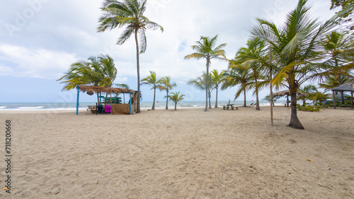 Tropical Beach Shack and Palm Trees © Hector Pertuz