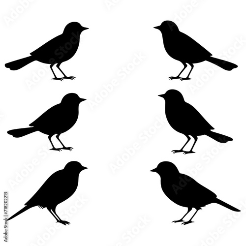 Lark bird black silhouette collection. Creative Lark bird silhouette set. Bird vector and illustration 