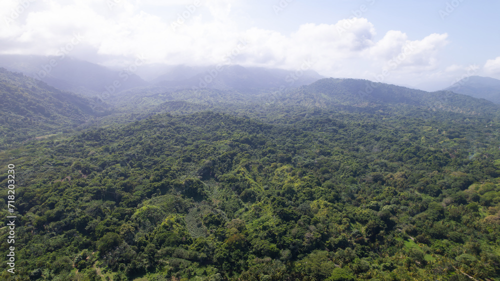 Naklejka premium Aerial View of Lush Tropical Rainforest