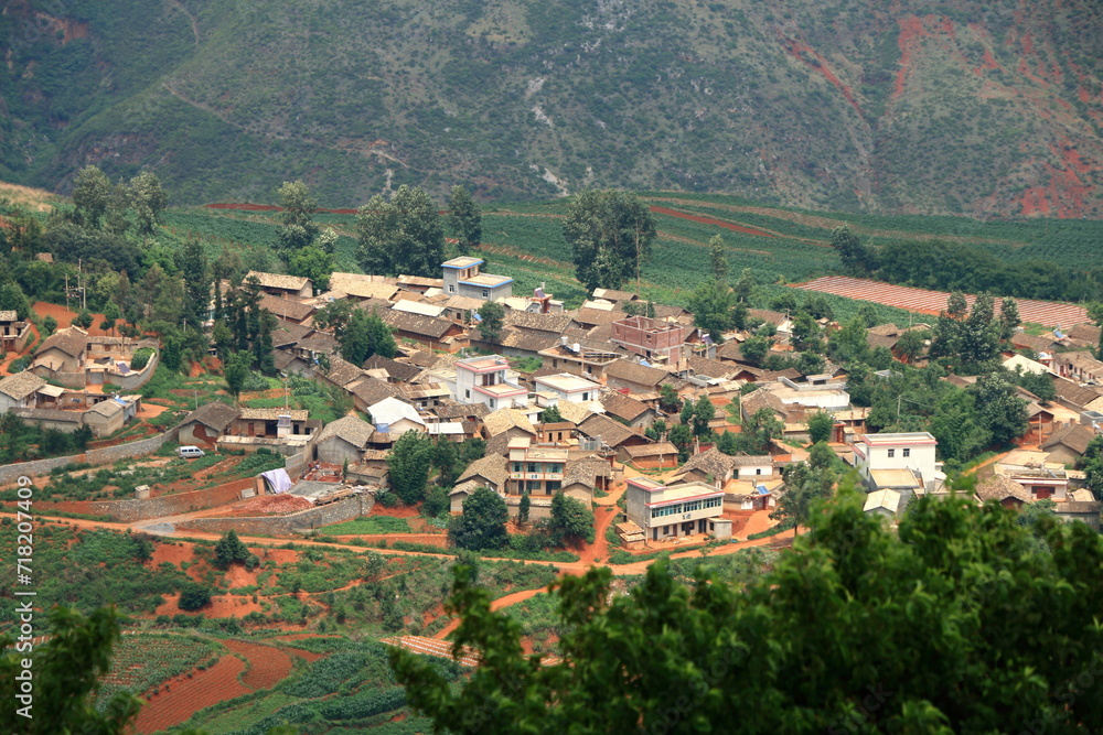 Fototapeta premium Terrace farming with green and orange field