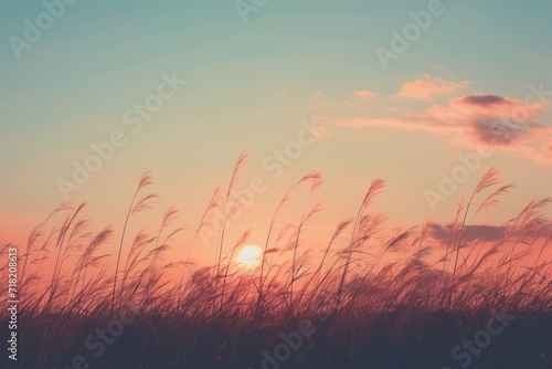 a field of tall grass with the sun setting in the distance in the distance is a cloud in the sky and the grass is blowing in the foreground in the foreground.