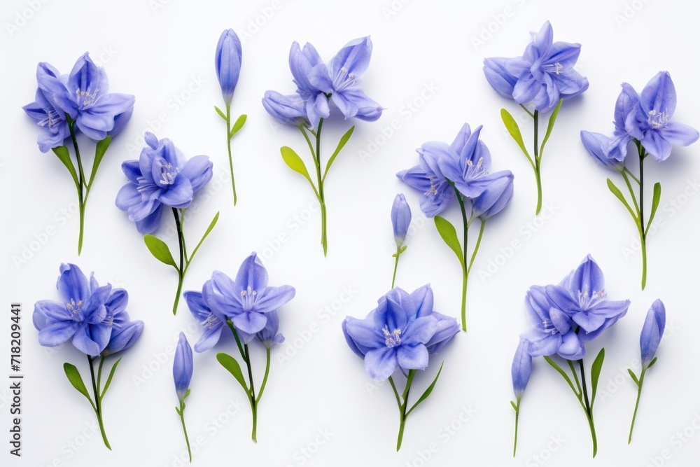  a group of blue flowers sitting next to each other on top of a white surface with green leaves on each side of the flowers, and a single blue flower in the middle of the middle.