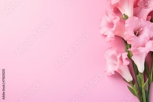  a bouquet of pink flowers on a pink background with copy space for a message or a greeting card with a place for a text or a photo or a message.
