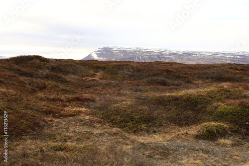 View on a mountain in the Northeastern Region of Iceland