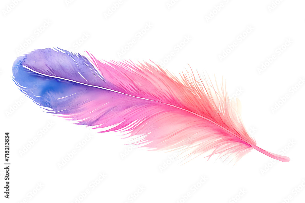 Soft pastel detailed feather in watercolor style isolated on white background Soft pastel detailed feather in watercolor style isolated on white background