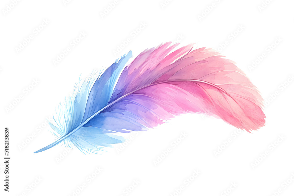 Soft pastel detailed feather in watercolor style isolated on white background Soft pastel detailed feather in watercolor style isolated on white background
