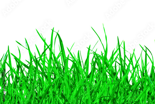 green grass isolated on white. Realistic seamless grass border isolated on white background with copy space. border of fresh green grass isolated as element of design. Green grass on white background

