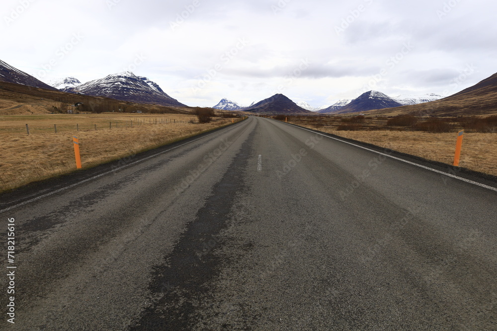 View on a road in the Northeastern Region of Iceland