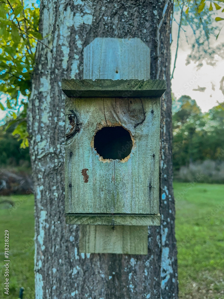 Old rustic birdhouse attached to a tree in the evening