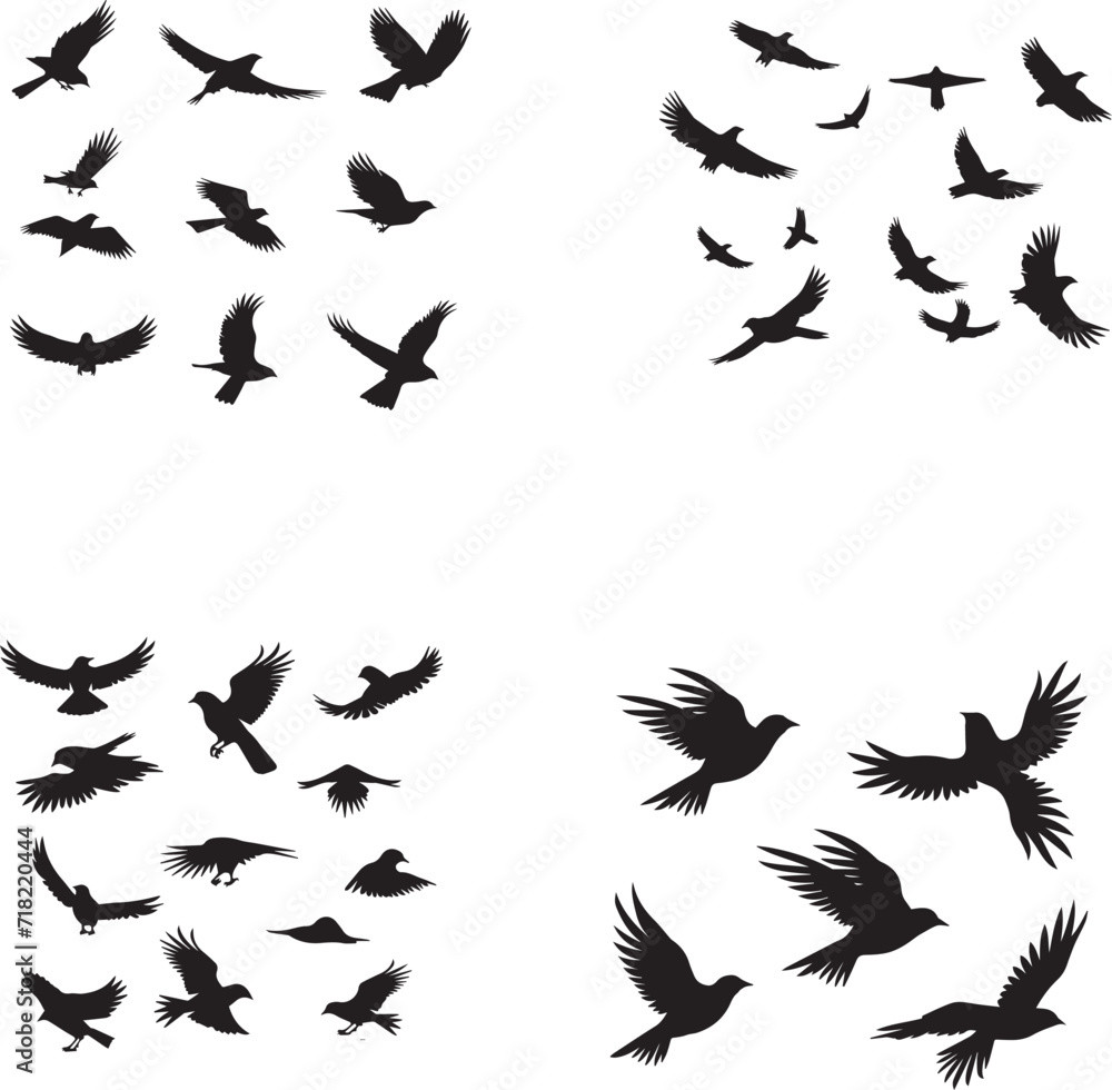 Set of Birds Flying black silhouettes on white background Set of Birds Flying black silhouettes on white background