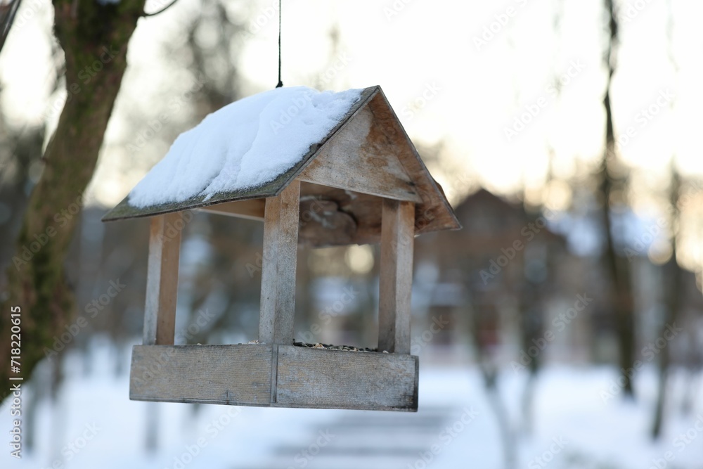 Wooden birdhouse hanging in park, space for text Wooden birdhouse hanging in park, space for text