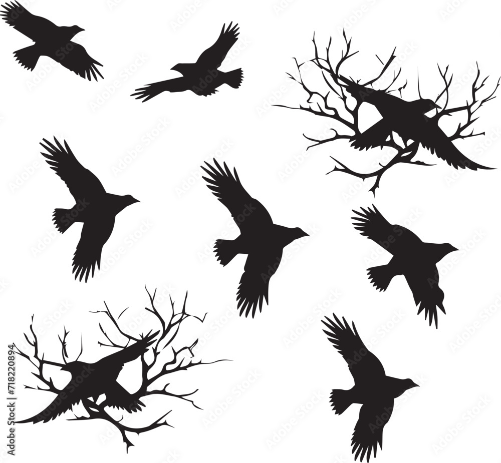 Fototapeta premium Set of Birds Flying black silhouettes on white background