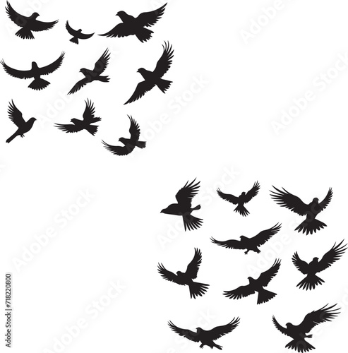 Set of Birds Flying black silhouettes on white background