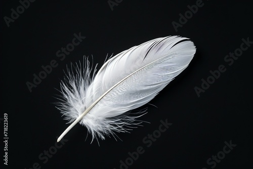 Elegant Pure White Feather JPG by Generative A.I.