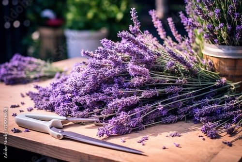 Lavender Cutting Cutters And Fresh Flowers On Wooden Table The Lavender Cutting
