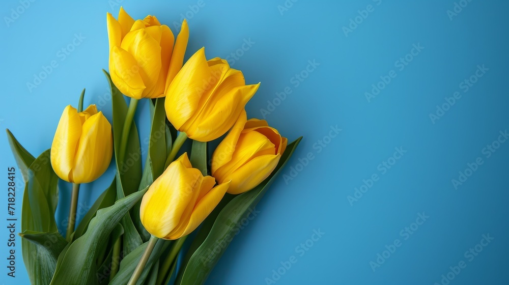Yellow Tulips Bouquet on Blue Background - Bright and Vibrant Floral Arrangement Yellow Tulips Bouquet on Blue Background - Bright and Vibrant Floral Arrangement
