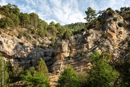 Rocky Cliff-side Framed by Pine Trees. Rugged limestone cliffs adorned with pine trees under a blue sky with clouds at daylight, Alto Tajo Natural Park, Guadalajara, Castilla La Mancha, Spain