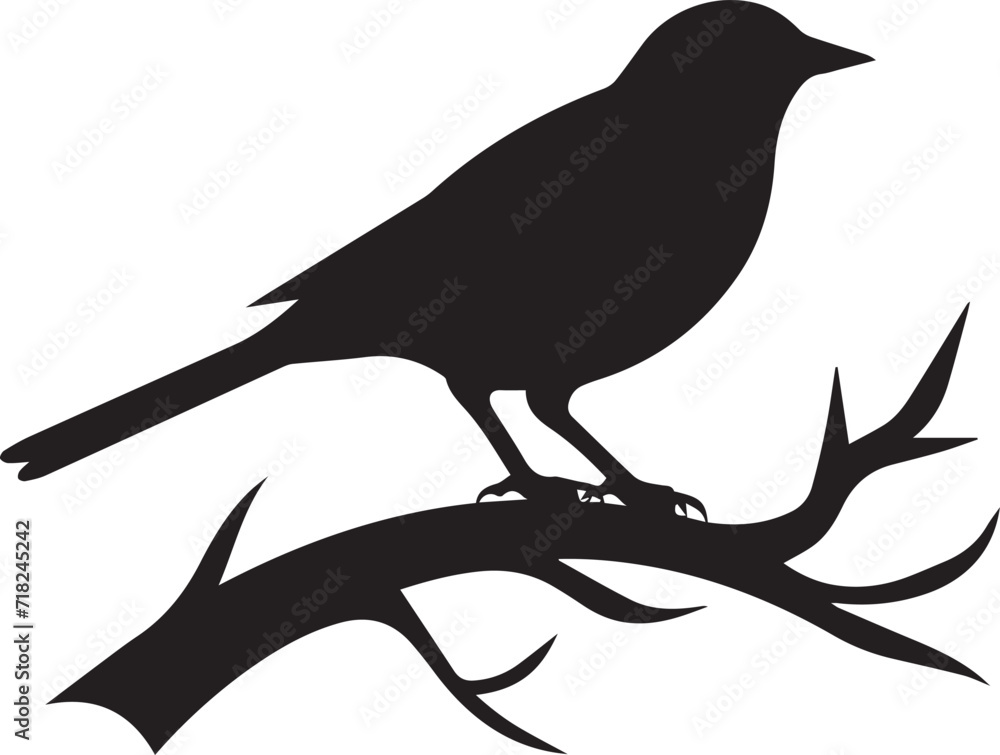 Fototapeta premium Birds Set black silhouette whitbackground