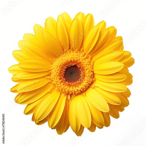 A single piece of yellow gerbera top view isolated on white background