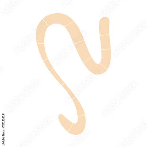 Worm parasites Illustration 