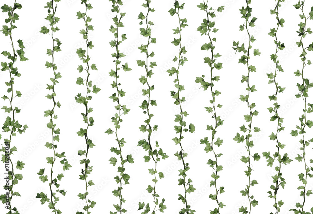 A Vertical Liana Vine Patterns isolated on transparent background