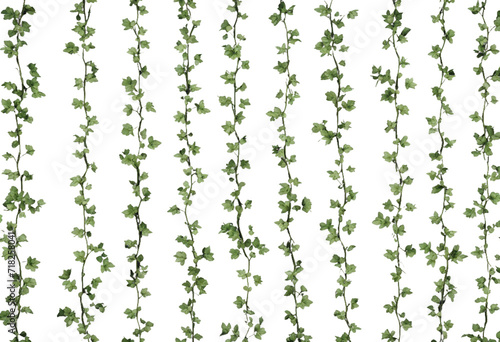 A Vertical Liana Vine Patterns isolated on transparent background