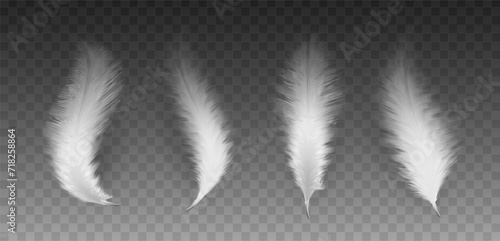 3d realistic vector illustration. Set of white twirled  feathers.