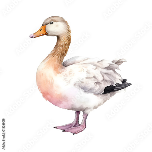 Beautiful Duck Watercolor Clipart, Perfect Design for Your Project and Creations, Ai Generative