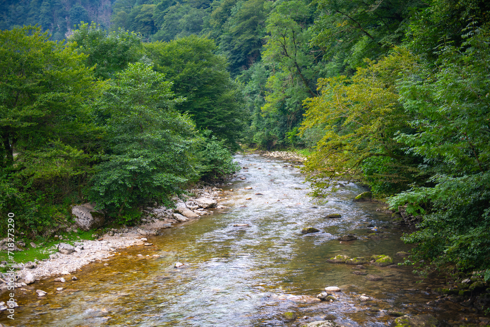 Scenic Mountain River Flowing Through Lush Green Landscape Nature Panorama