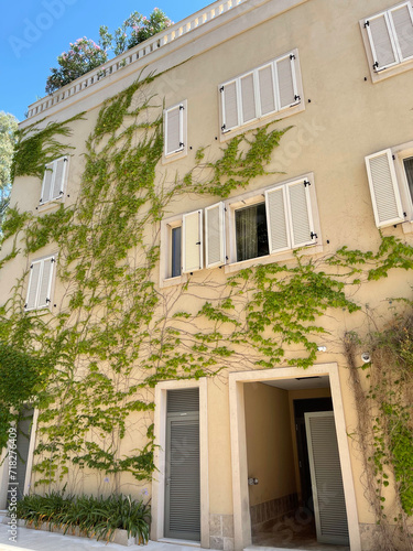 Fototapeta Naklejka Na Ścianę i Meble -  Ivy plant grows on the wall of a residential building