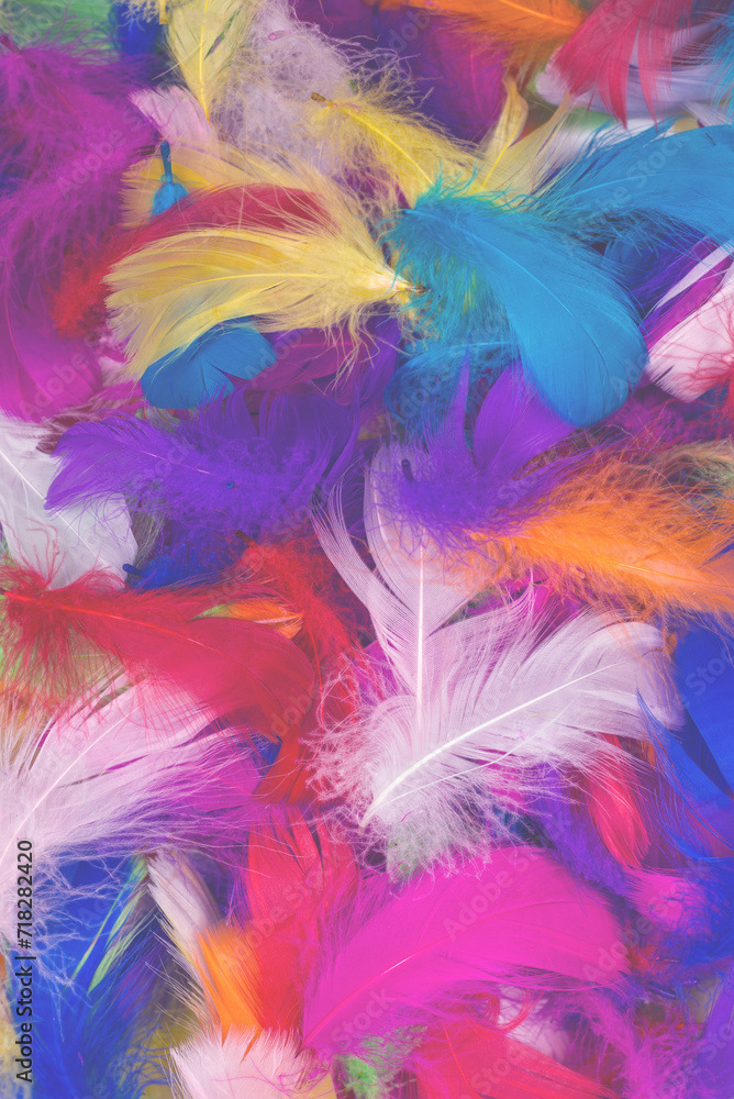Colorful feather background. Colorful feather background.