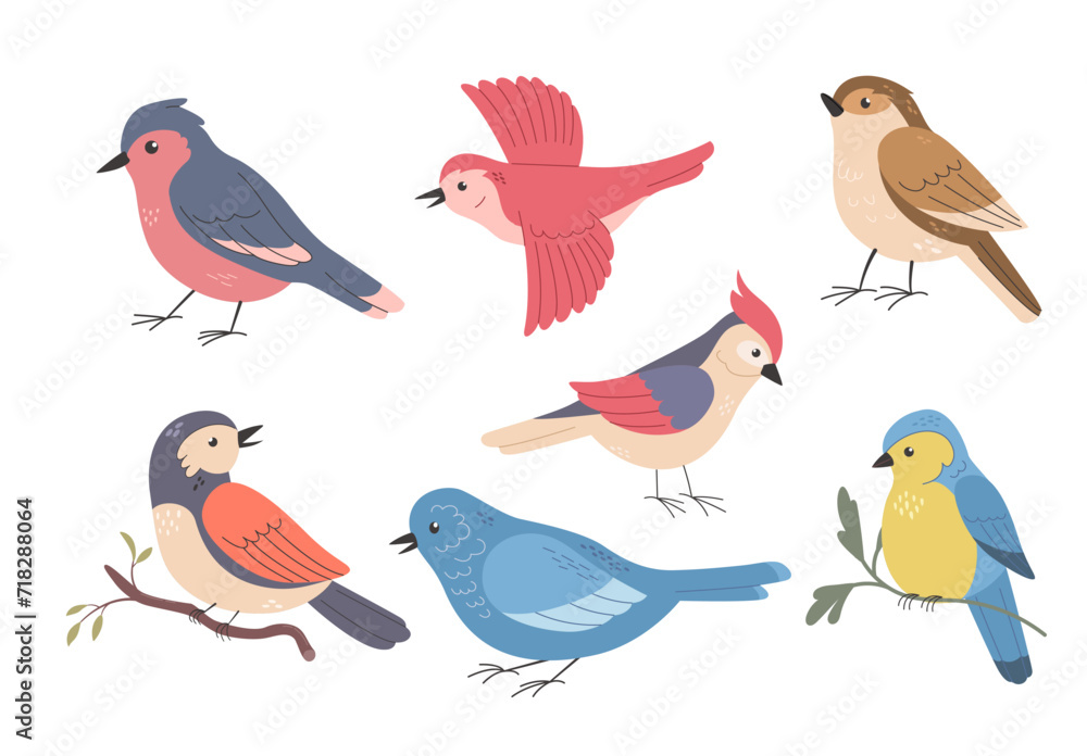 Fototapeta premium Set of different birds on white background. Cartoon vector illustration. Cute wild or garden spring birdie. Sparrow, woodpecker, tomtit