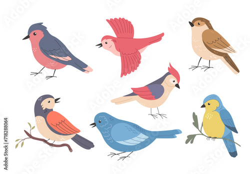 Set of different birds on white background. Cartoon vector illustration.  Cute wild or garden spring birdie. Sparrow, woodpecker, tomtit © Nadezhda Mih