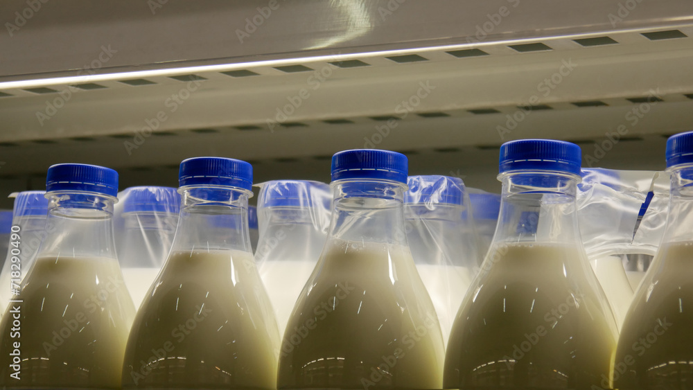 Many beautiful milk bottles on a fridge shelf close-up Many beautiful milk bottles on a fridge shelf close-up