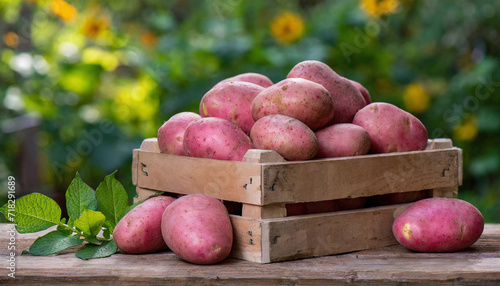 Pommes de terre rose dans cagette en bois dans le jardin - IA générative