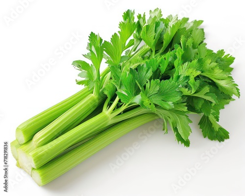 A fresh celery stalk on a white background