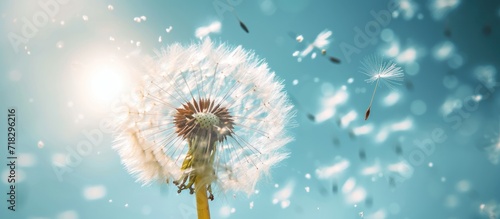  a dandelion blowing in the wind with the sun shining down on the dandelion and flying seeds in the air in front of a clear blue sky.