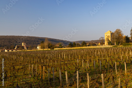 Chateau de Gevrey-Chambertin (castle), Burgundy, France photo