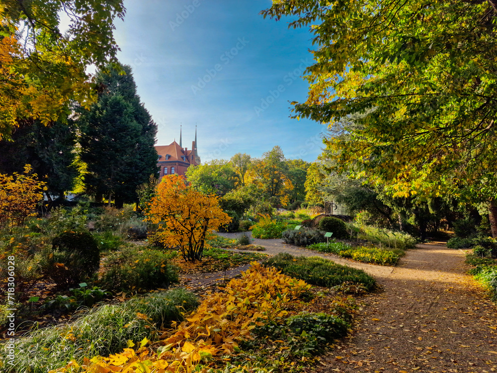 Botanical garden in autumn. Wroclaw, Poland