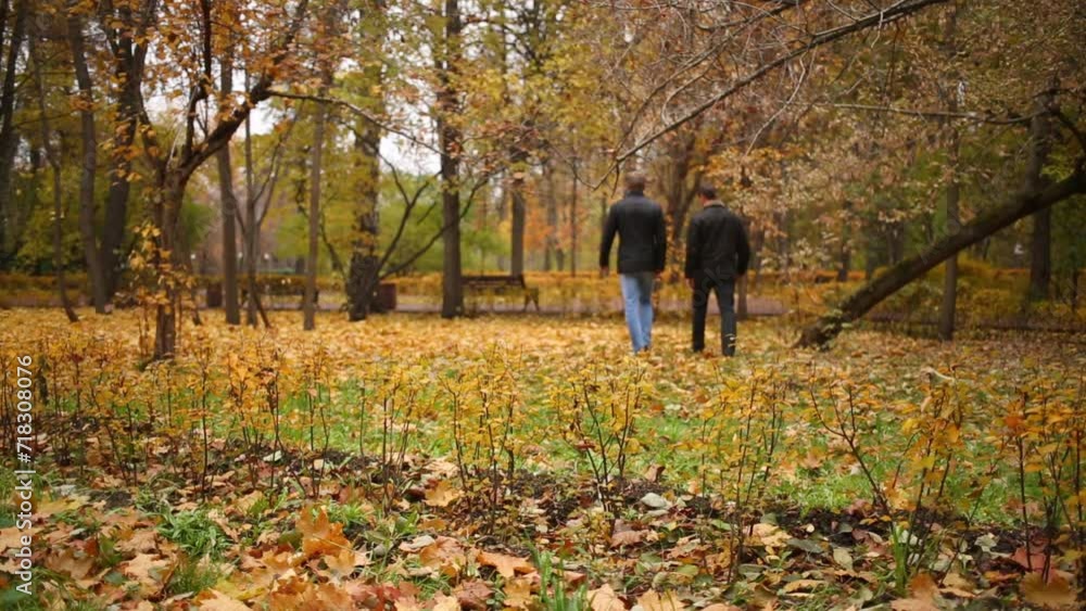 Two men walking in the autumn park near the cropped bushes Two men walking in the autumn park near the cropped bushes