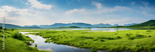 Mesmerizing Serenity: An Exquisite Capture of Enchanting Estuary Landscape Teeming with Lush Green Foliage