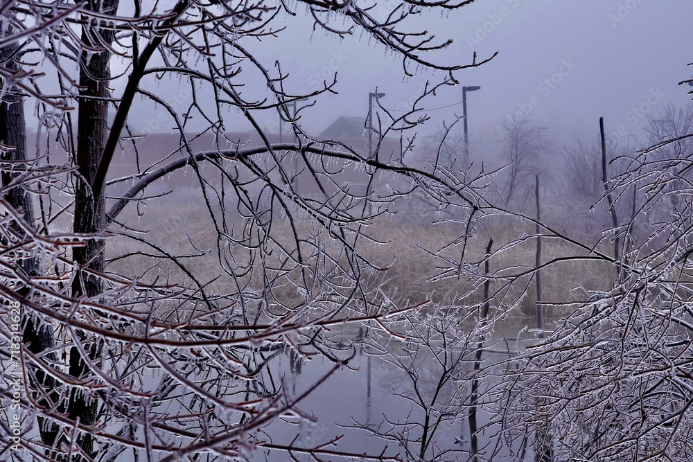 Obraz premium Freezing rain